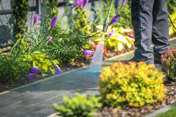 Best Brick and Stone Cleaning in Centerville, MN