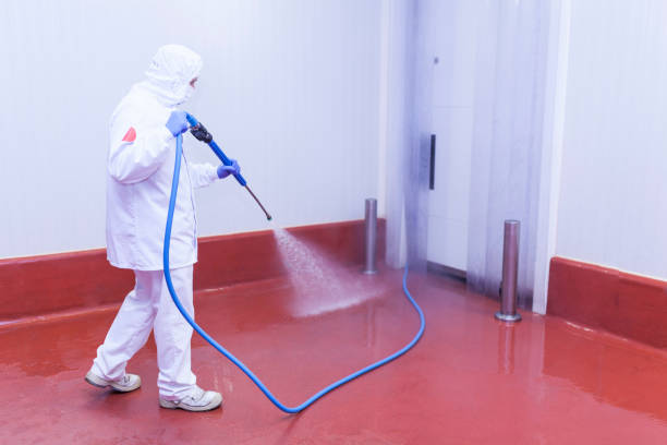 Best Residential Pressure Washing in Centerville, MN