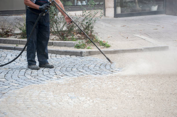 Best Soft Washing for Delicate Surfaces in Centerville, MN