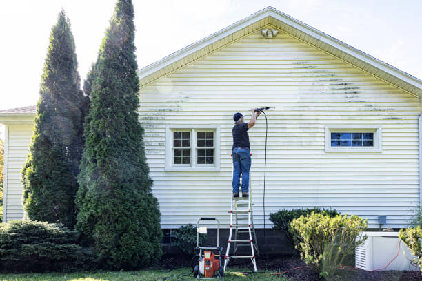 Best Fence Cleaning and Maintenance in Centerville, MN